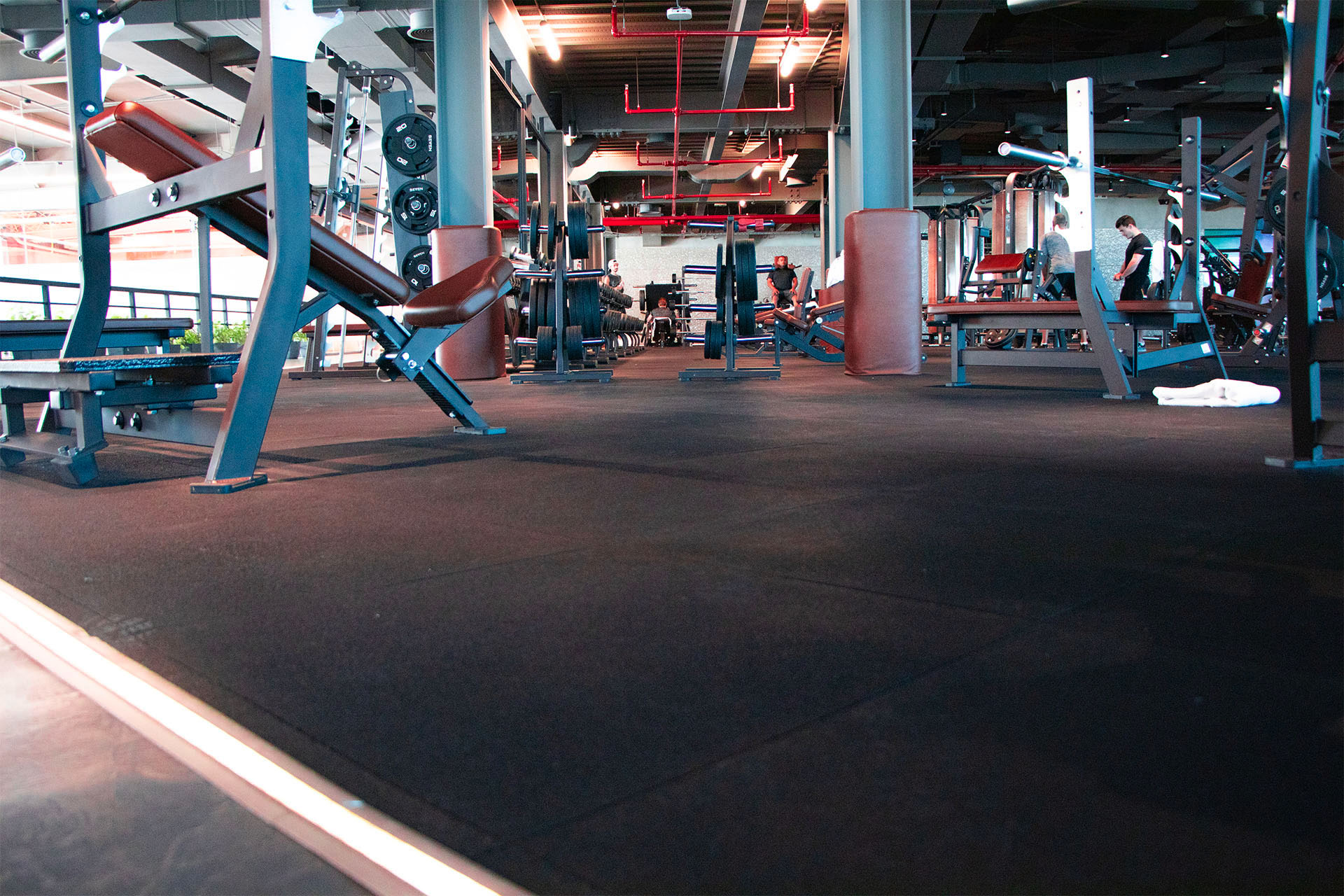 Gym flooring and training zones supplied by Functional Fitness Supply